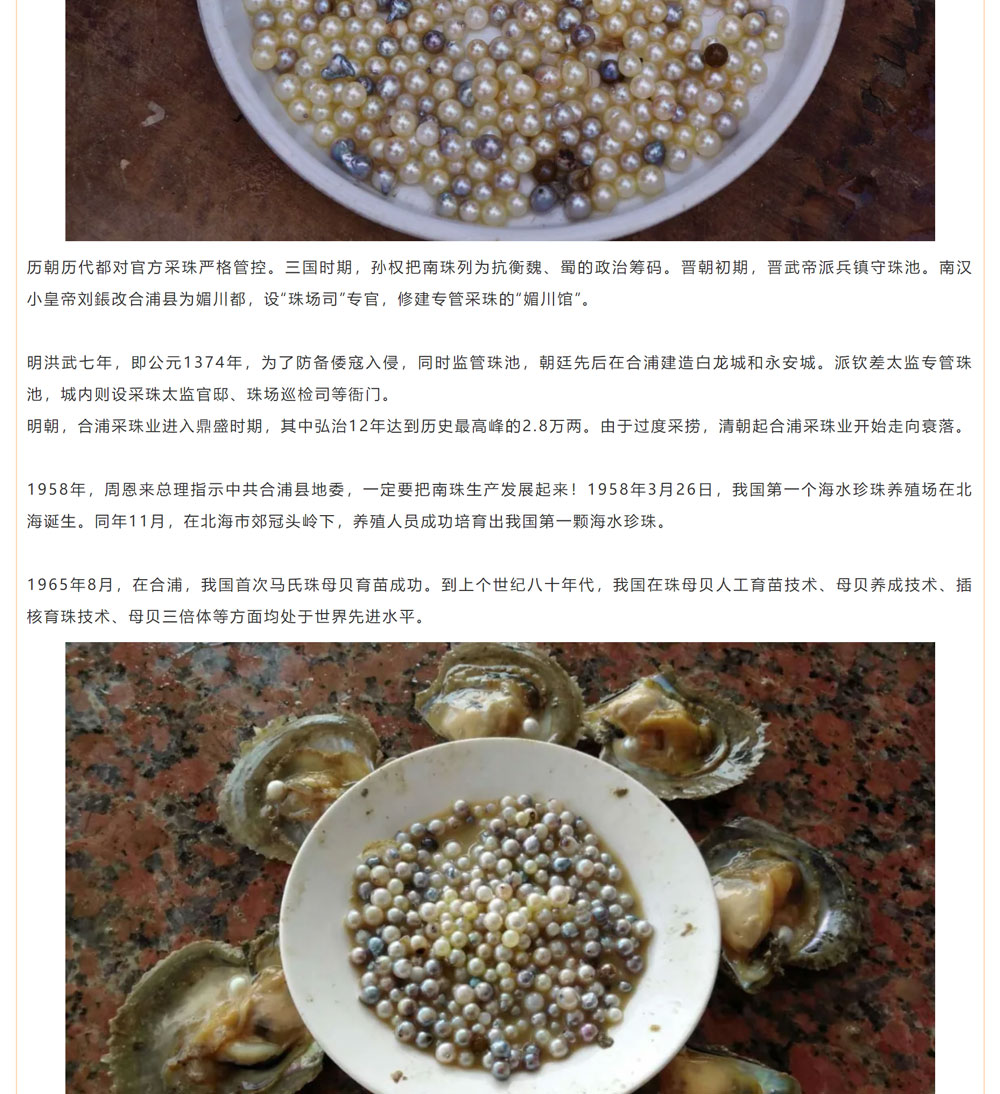 古老南珠，綻放異彩